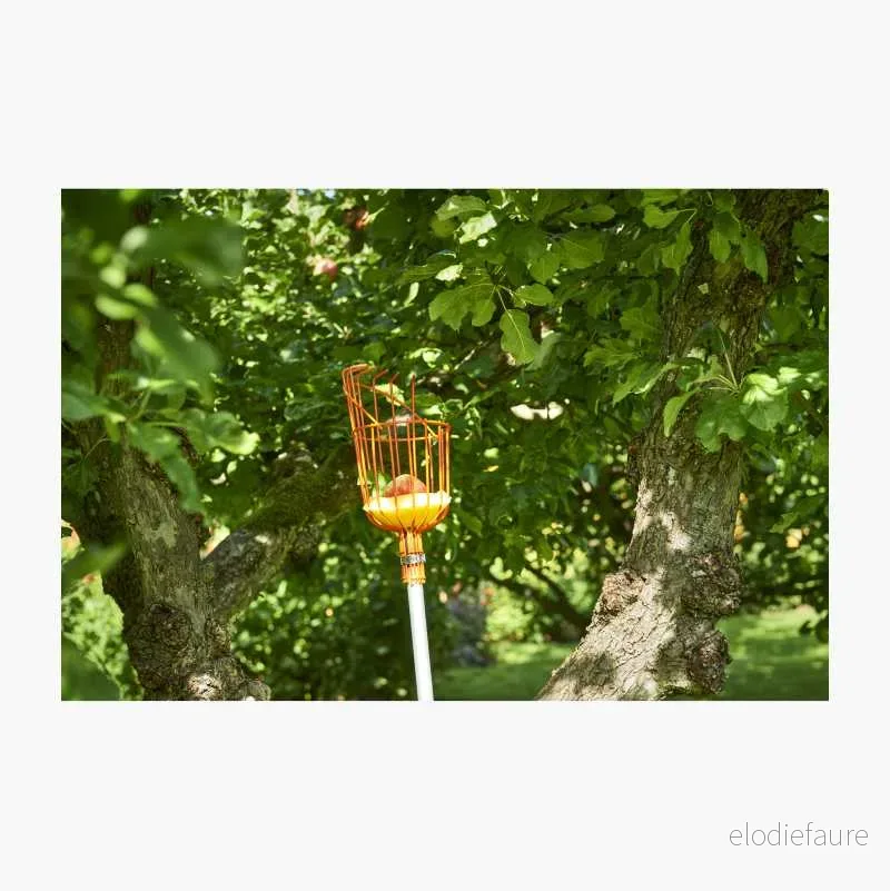 Fruktplukker, tre v:5865259