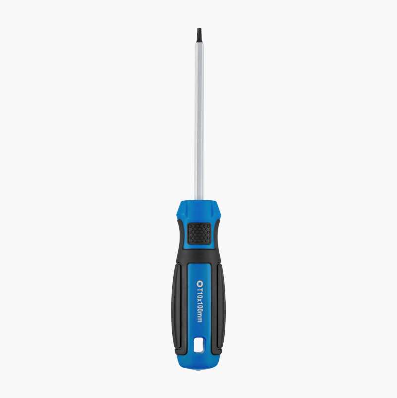 Torxskrutrekker T10 x 100 mm v:6801442