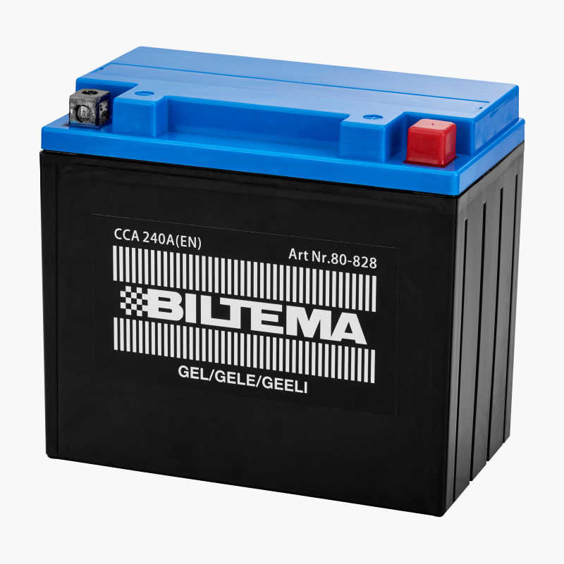 MC-batteri gelé, 12 V, 19 Ah, 175 x 100 x 156 mm v:2358991