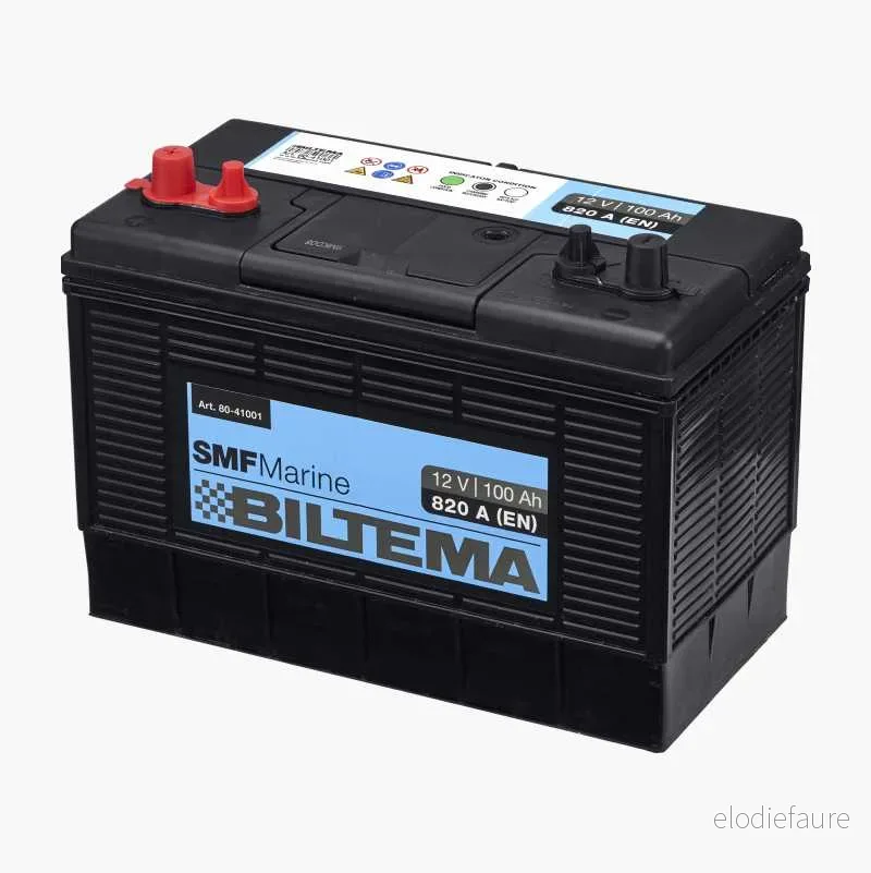Fritidsbatteri marine,12 V, 100 Ah v:7482802
