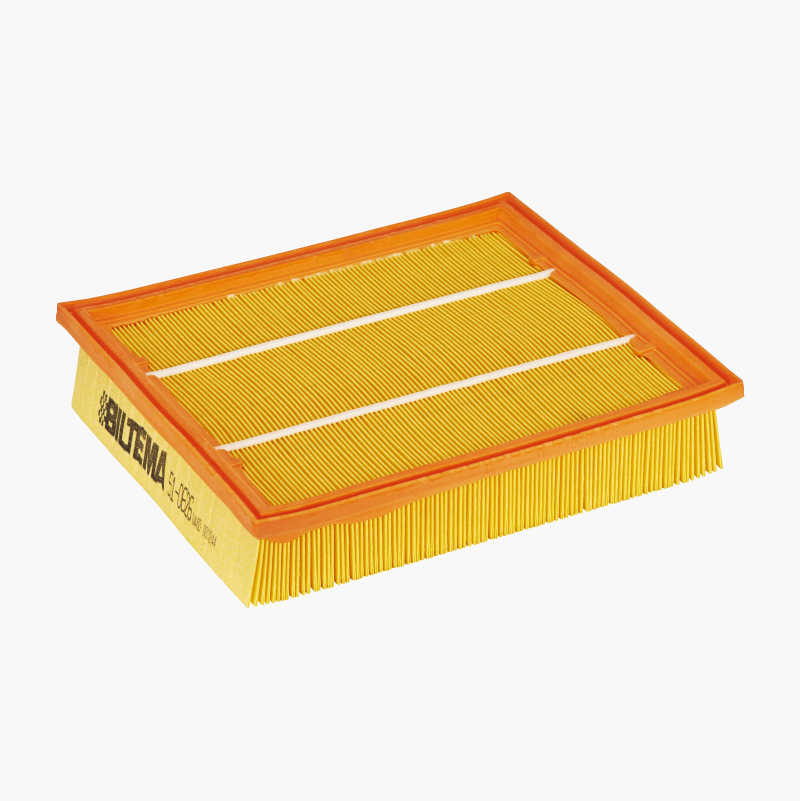Luftfilter v:5312466
