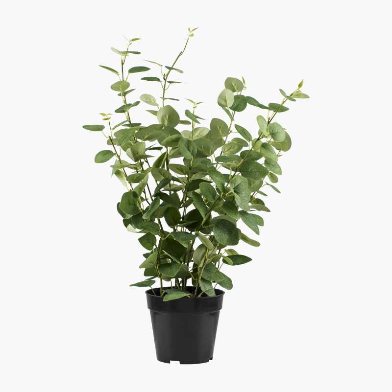 Kunstig eukalyptus i potte v:2746351