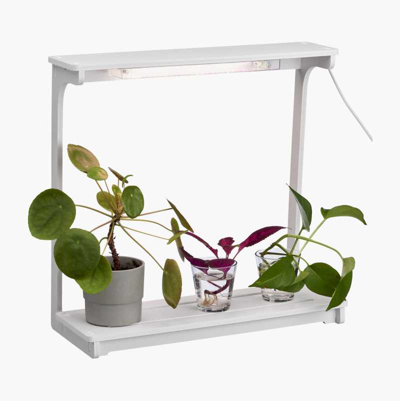 Plantebelysning, LED, 750 lm v:6234927