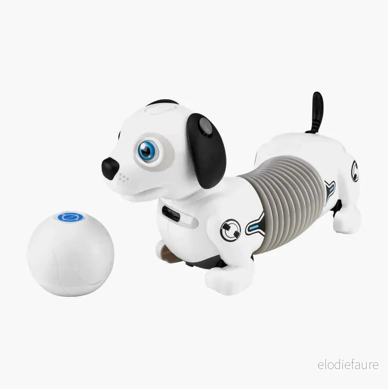 Robothund, 24 cm v:5911323
