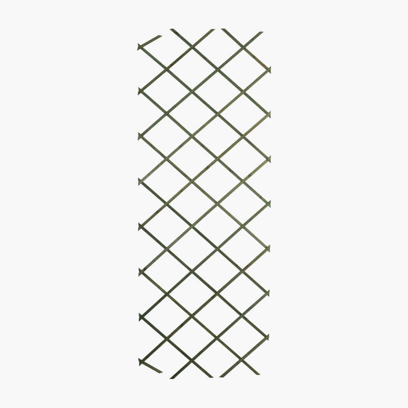 Espalier, 100 x 200 cm v:6336052